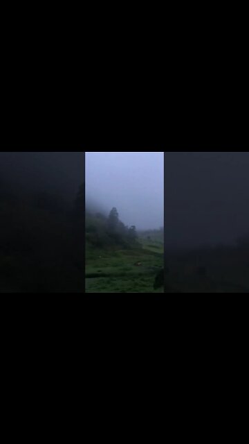 No discernible sunrise through the mist