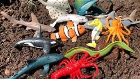 Sea Animal Toys This Summer at the Shore