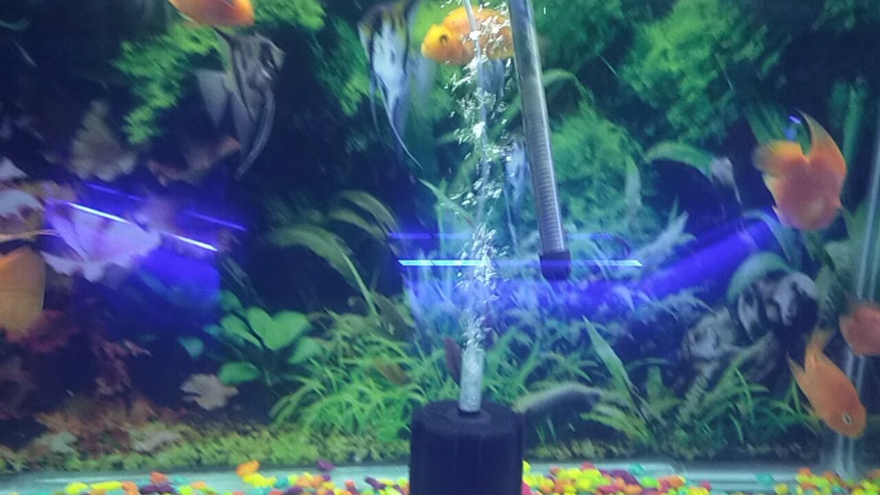 fishing 🦦🦦 like