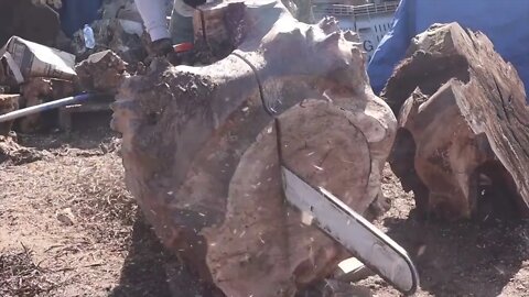 Carving a Rhino From Epoxy Resin & Walnut Burl-1