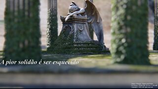 A pior solidão é ser esquecido, a tristeza é profunda... [Poesia] [Remake] [Frases e Poemas]