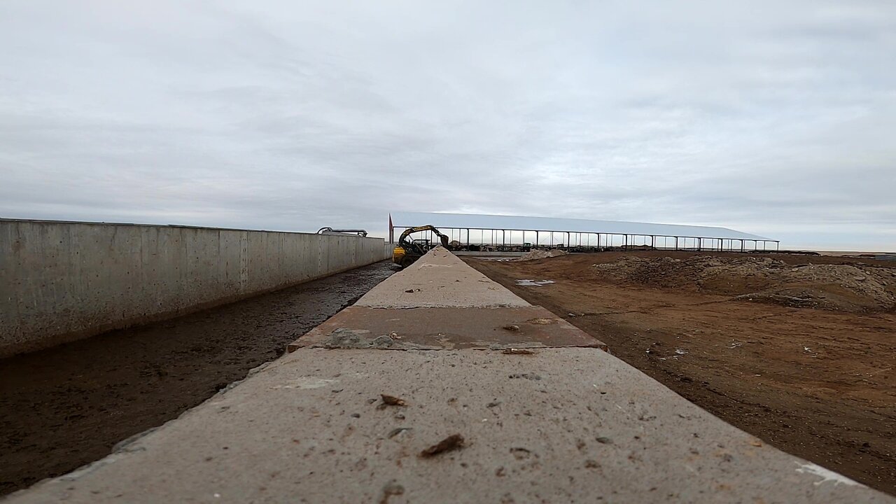 Scraping an Alley and Cleaning Water Troughs
