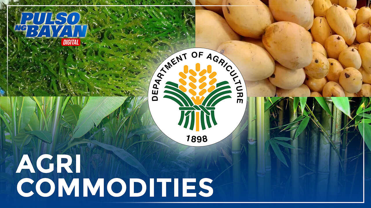 Apat na agri commodities, tututukan ng DA