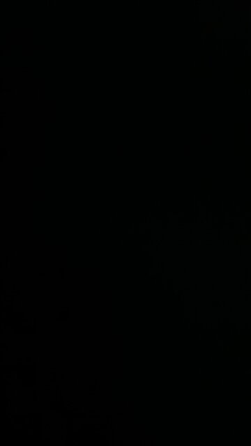 The FBI raided Mar-a-Lago