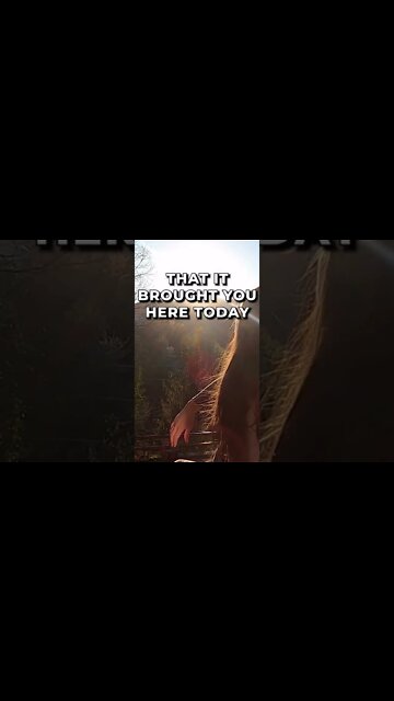 Fill yourself with gratitude for the mistakes you've made #meditation #sleep #shorts