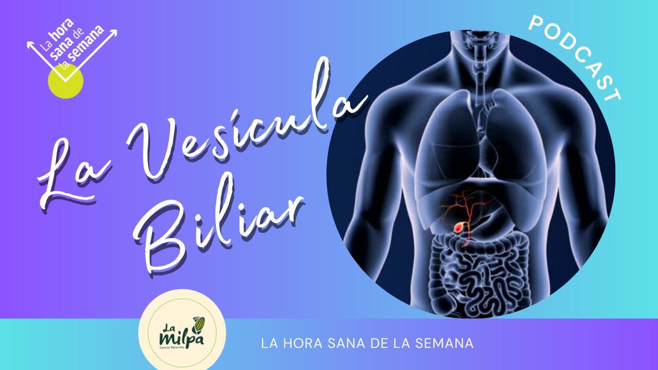 La Vesícula Biliar - esa discreta bolsita de bilis