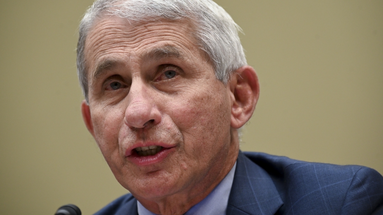 Fauci Downplays Differences With President Trump