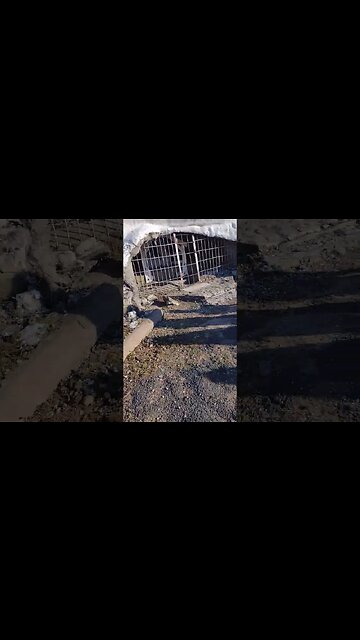 Holy Land USA ruins in Waterbury CT