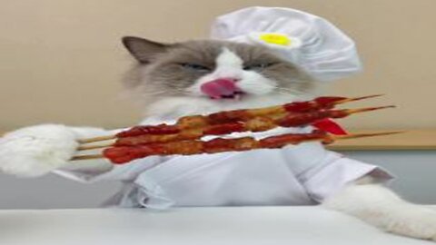 Cat Cats WE go full Baconator in one of todays Hacks.