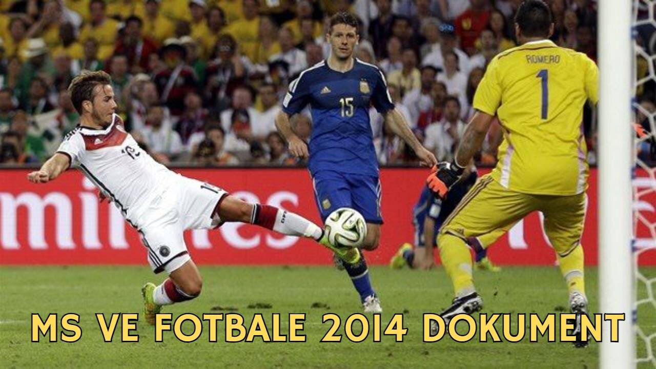 Mistrovství světa ve fotbale 2014 dokument