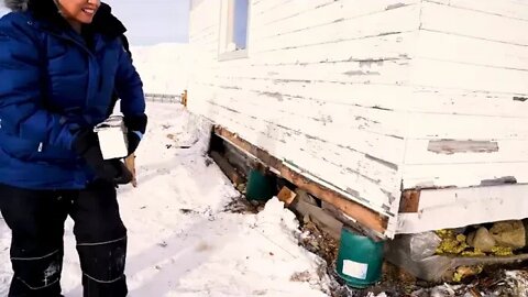 8 ##### Arctic Homestead 10 years living off the Alaskan wilderness