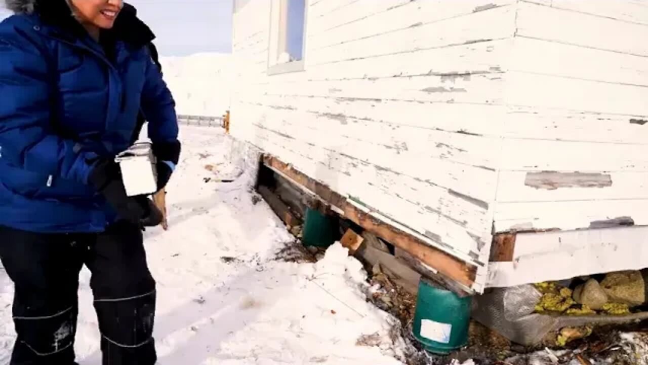 8 ##### Arctic Homestead 10 years living off the Alaskan wilderness