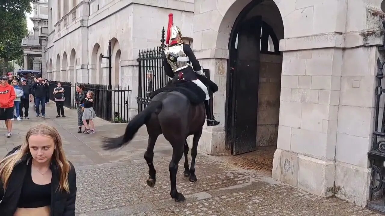 The kings guard brings horse under control. horse spins around walks backwards #horseguardsparade