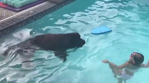 Amazing Funny baby & Dog in Water Pool