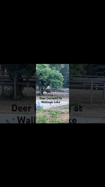 Enjoying nature. Wallowa Lake. #oregon