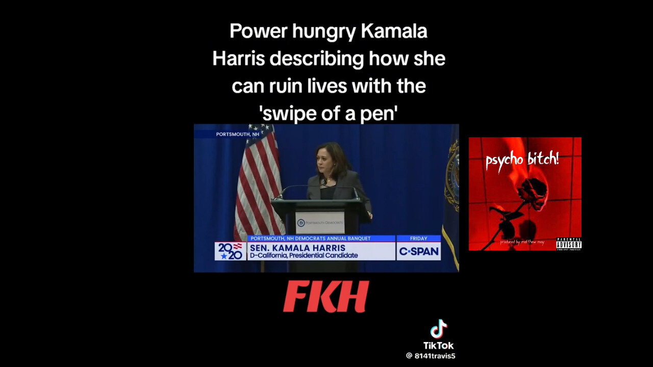 Presidential Candidate Kamala Harris Describing How She Can Ruin Lives