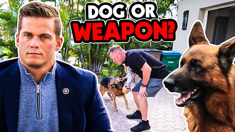 Training a Personal Protection Dog for a VIP Client