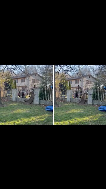 Team effort between officers and firefighters to rescue deer in distress