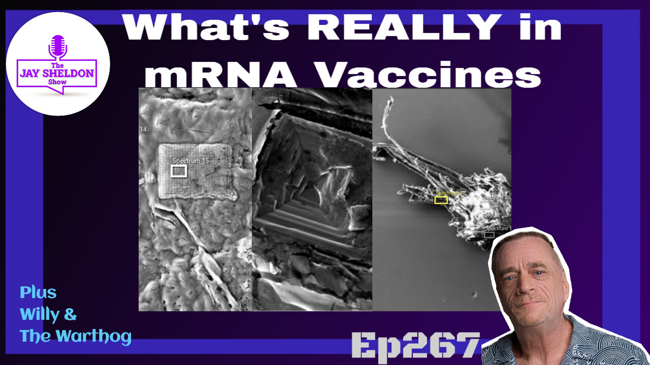 What's REALLY in mRNA Vaccines?