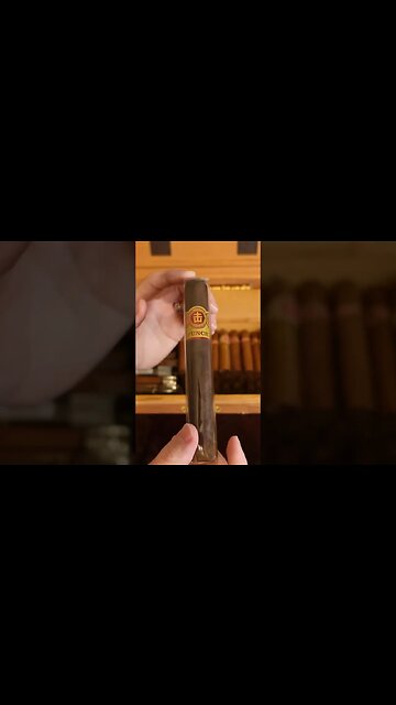 Just My Opinion 🤭 #cigar #cigars #humidor #luxury
