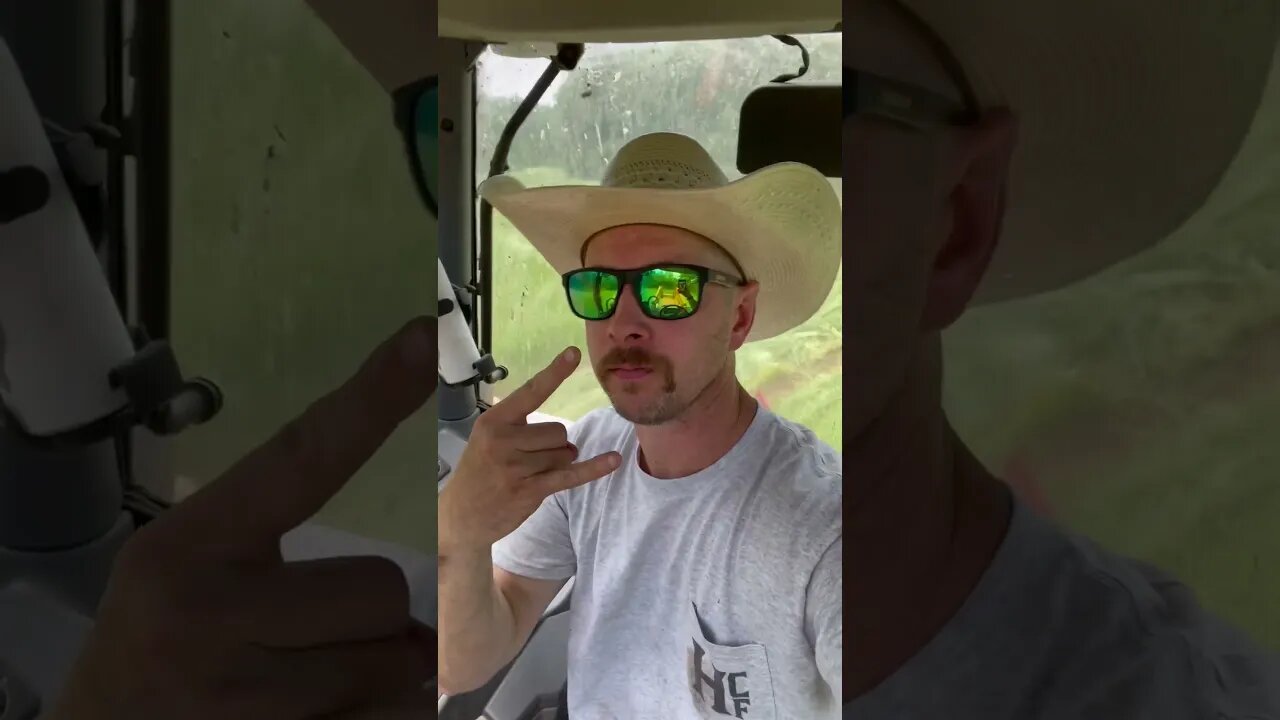 Hay season ‘23 begins! #farm #farmlife #hay #kubota #dirtywindows #hayseason #cuttinghay #cowchow