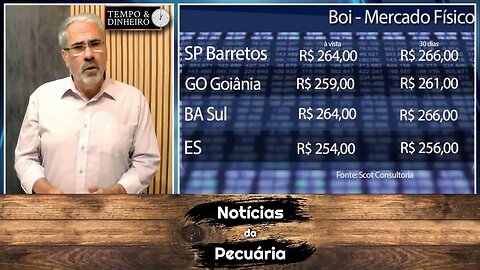 Boi gordo sem fôlego tem escalas alongadas