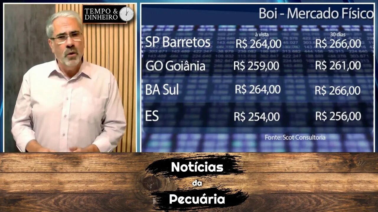 Boi gordo sem fôlego tem escalas alongadas