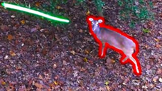 Doe gets absolutely SMOKED! Deer Hunt Success!