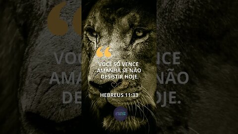 Você só vence quando muda sua mente!