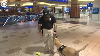 TSA Cutest K9