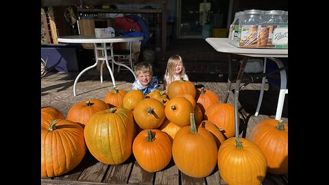 Harvest time