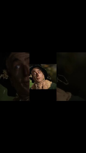 Lions and Tigers and Bears