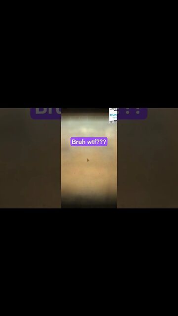 I scared them cuz I was so intellectually superior #fallout #falloutnewvegas