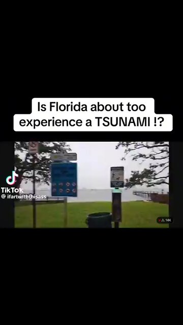 Whats Going ON HERE - Frank Fighting For Freedom 🇺🇸