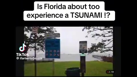 Whats Going ON HERE - Frank Fighting For Freedom 🇺🇸