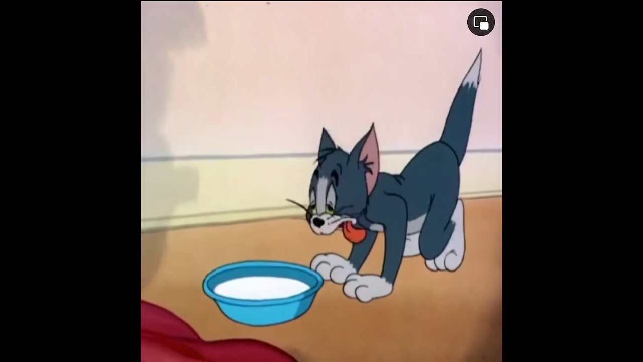 Tom and jerry