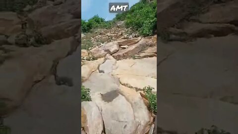 WhatsApp status