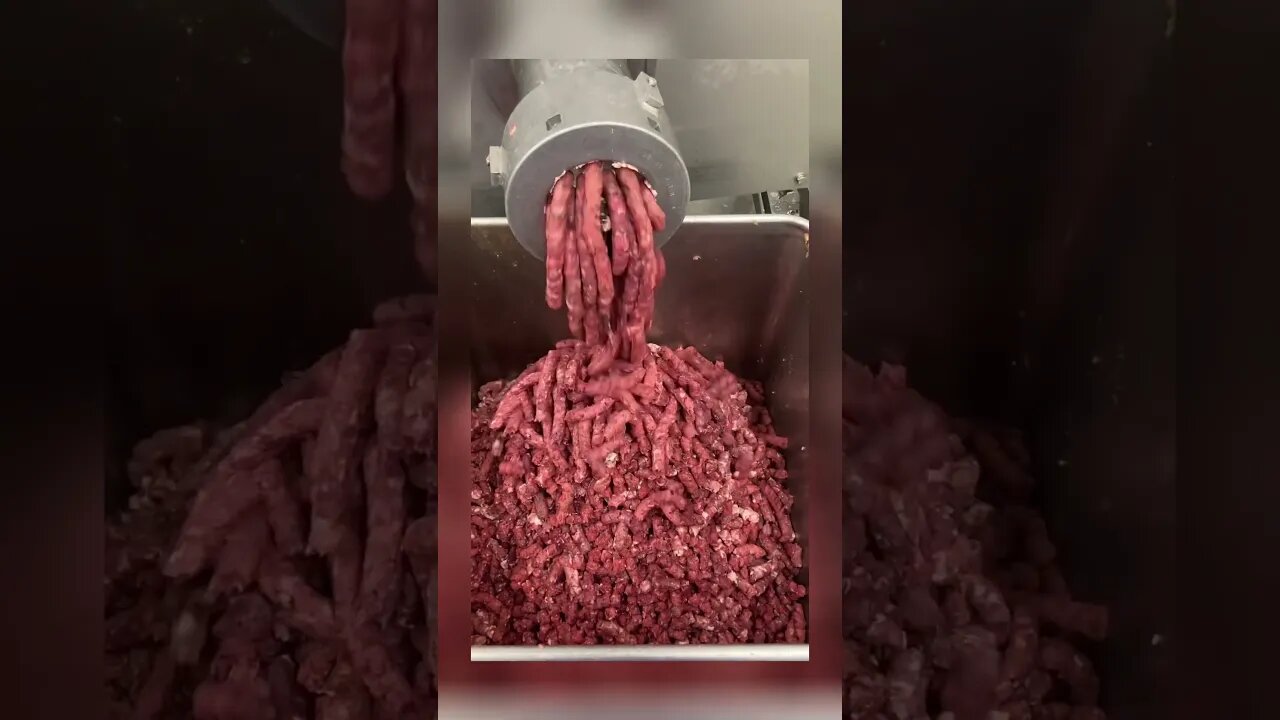 How your food is made: what is this?? (part 2) #carnivore #vegitarian #meat #memorialday #gross