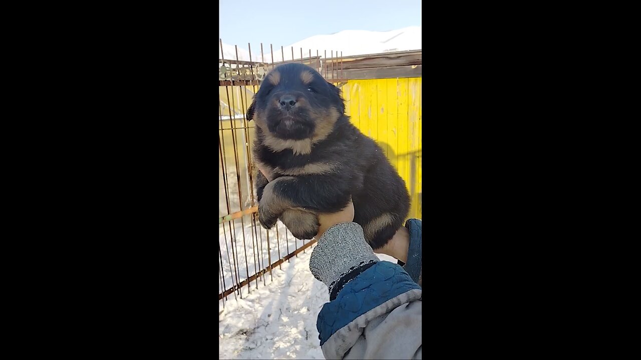 Hi there