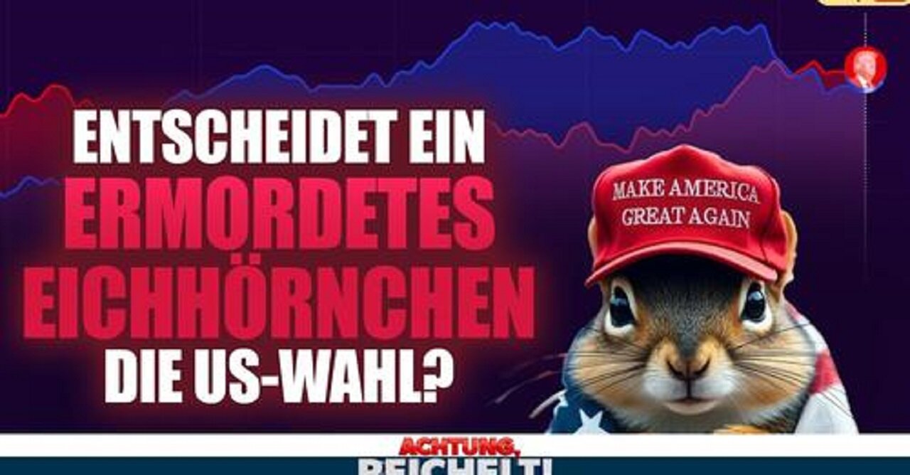 Alles ganz anders! Die WAHREN Prognosen zur US-Wahl Trump vs. Harris, die man Ihnen nicht verrät!