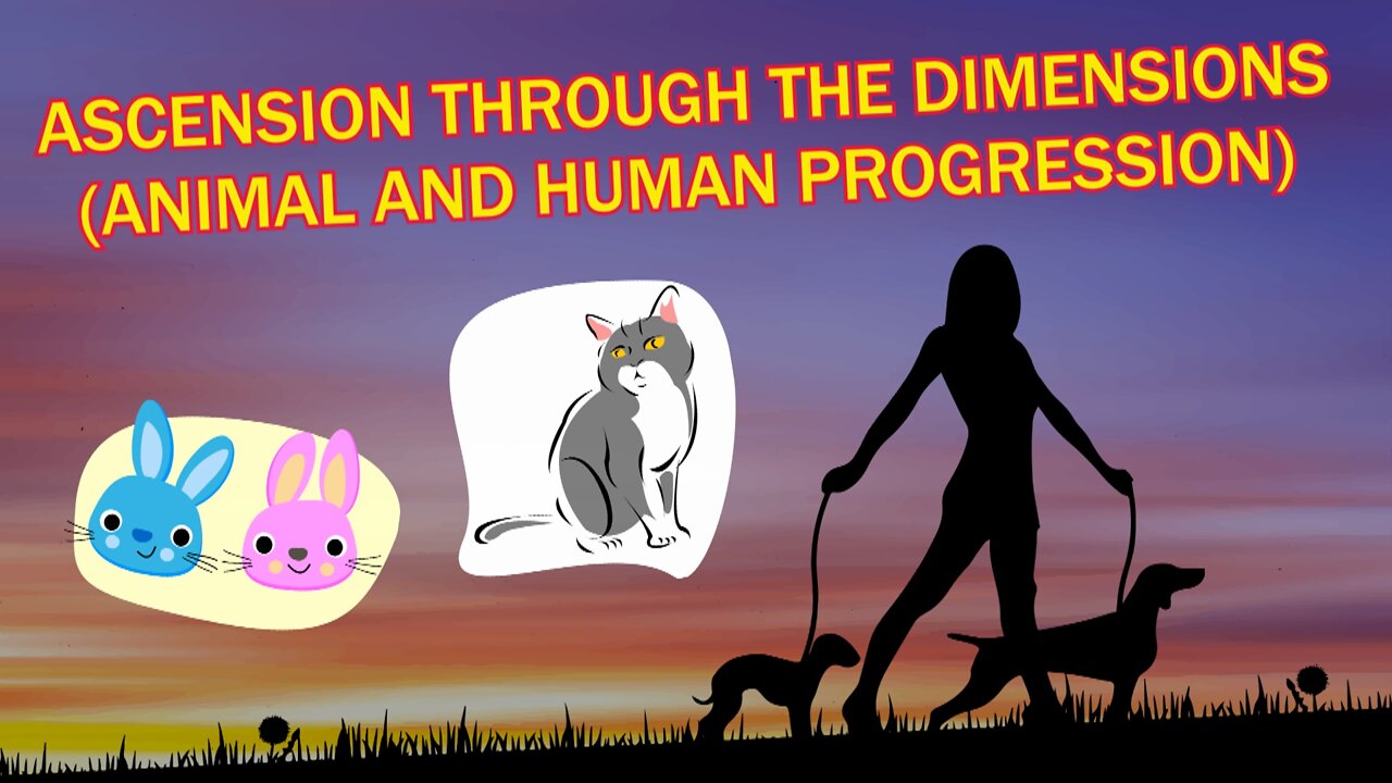 Ascension Through the Dimensions (Animal and Human Progression)