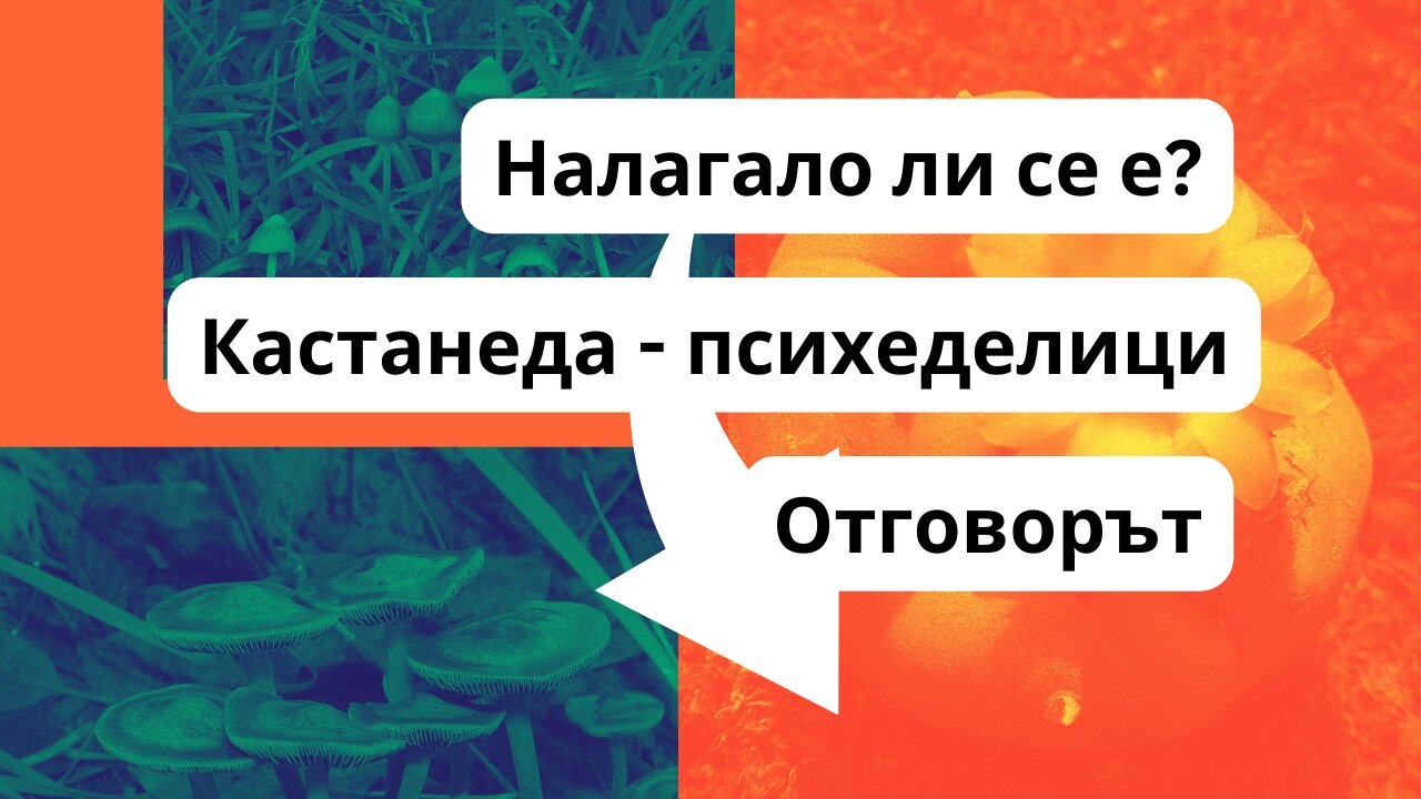 Кастанеда - причината дон Хуан да прибегне до психеделични растения в началото на обучението му