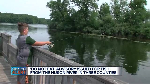 'Do not eat' advisory issued for fish from Huron River within Oakland, Washtenaw counties