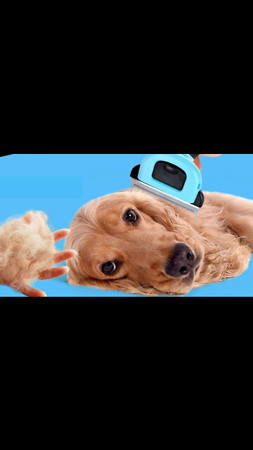 Pet Hair Remover Brush Trimmer