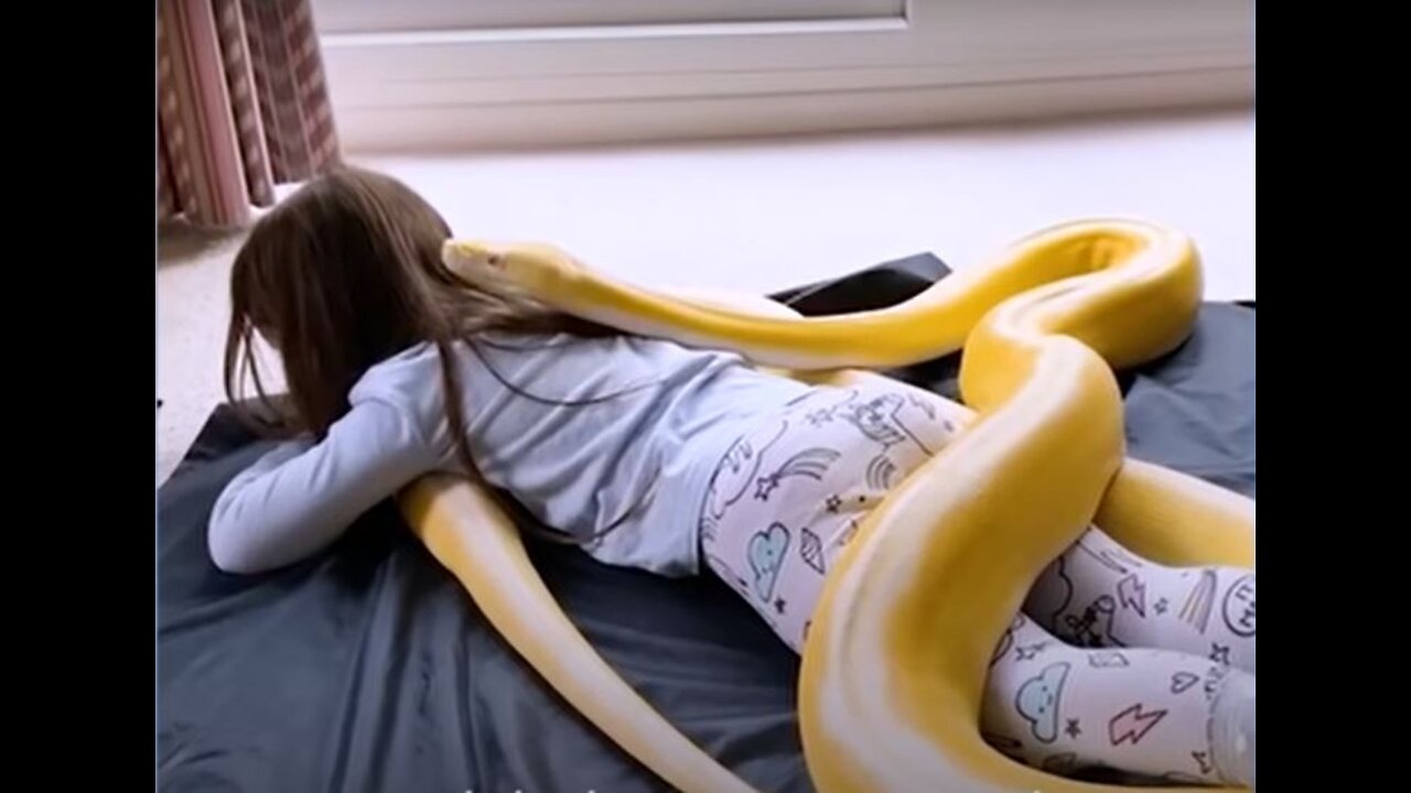 OMG!! 16-Foot Python Is So Gentle With Her Favorite Girl