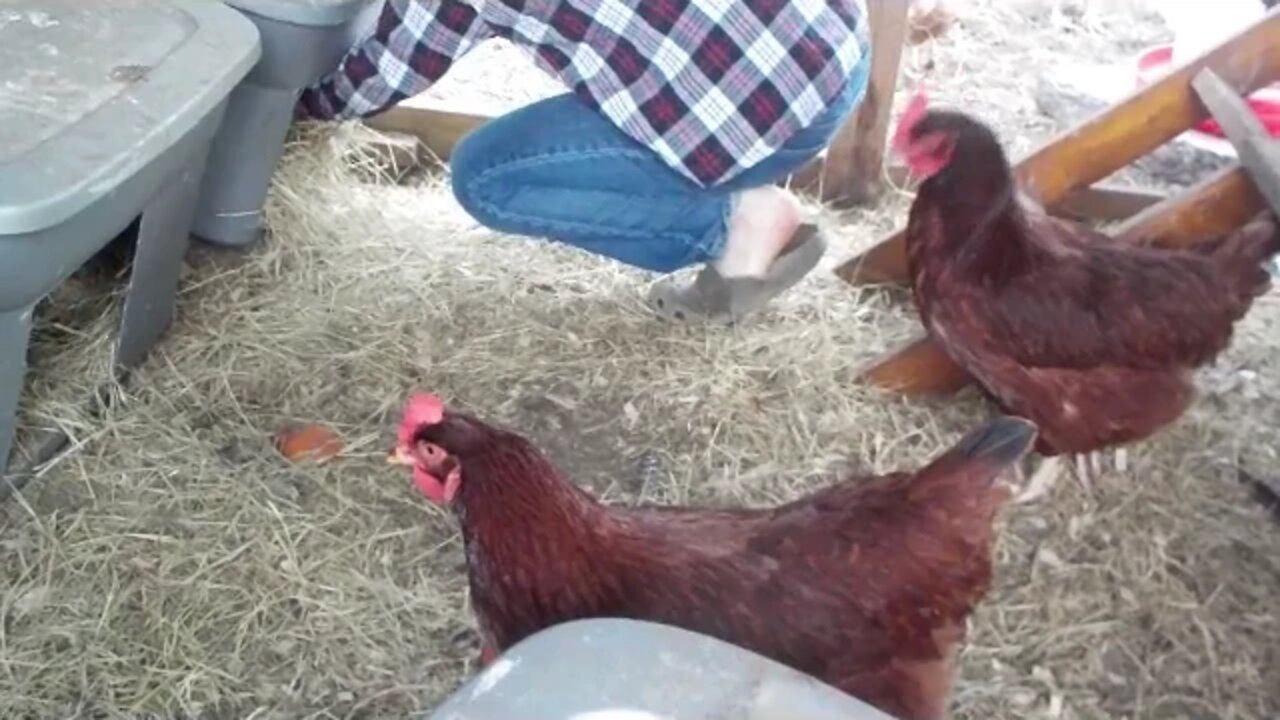 TexasBoys Will Justin Rhodes come to our Farm???