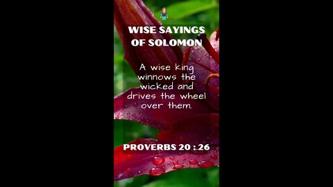 Proverbs 20.26 | NRSV Bible - Wise Sayings of Solomon