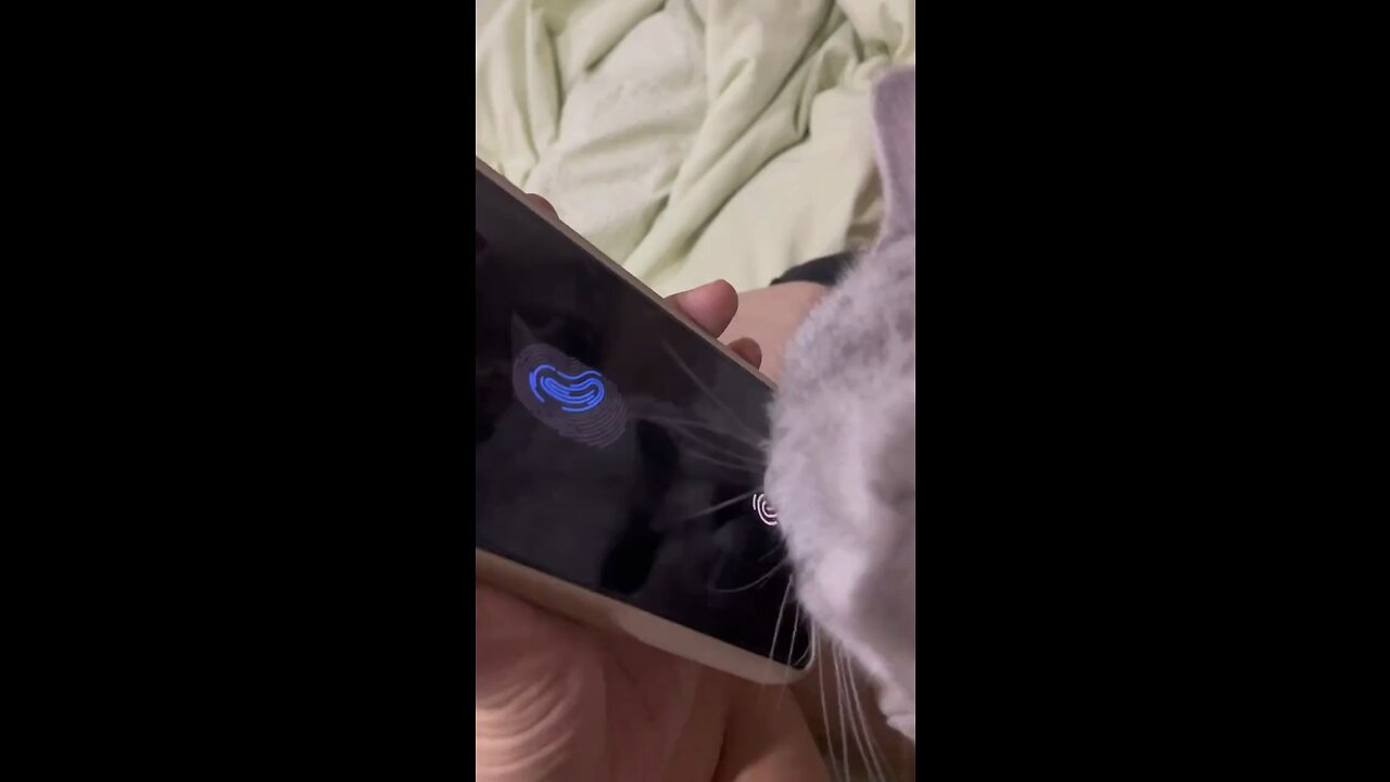 🤣