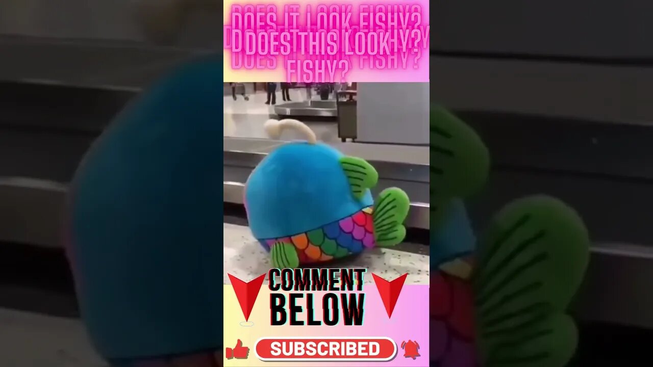 Fishy @ Airport #funnyvideos #videosdehumor #likeit #hilarious🤣😂 #haha #following #shorts #shorts