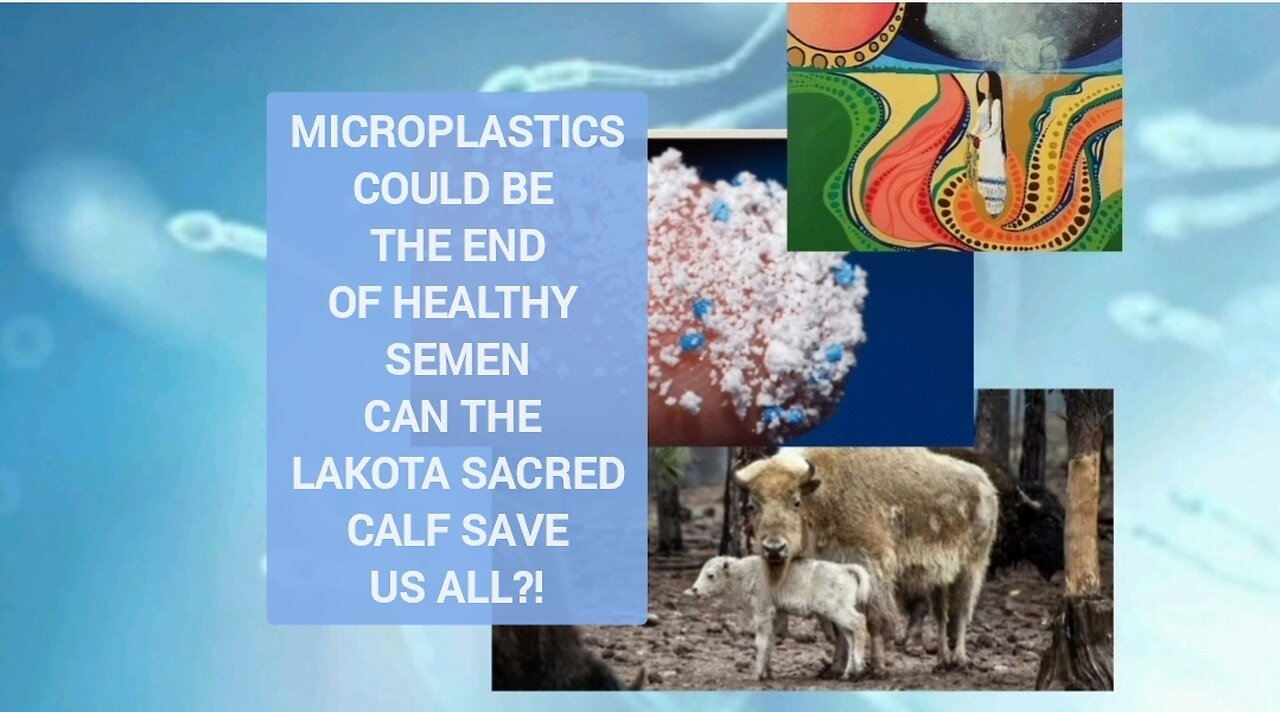 MICROPLASTICS FOUND IN ALL SPERM SAMPLES, NATIVE AMERICAN PROPHECY IS HERE